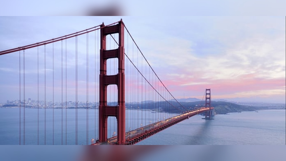 Legal Nurse Consulting Business Plan: Ultimate Guide to Success